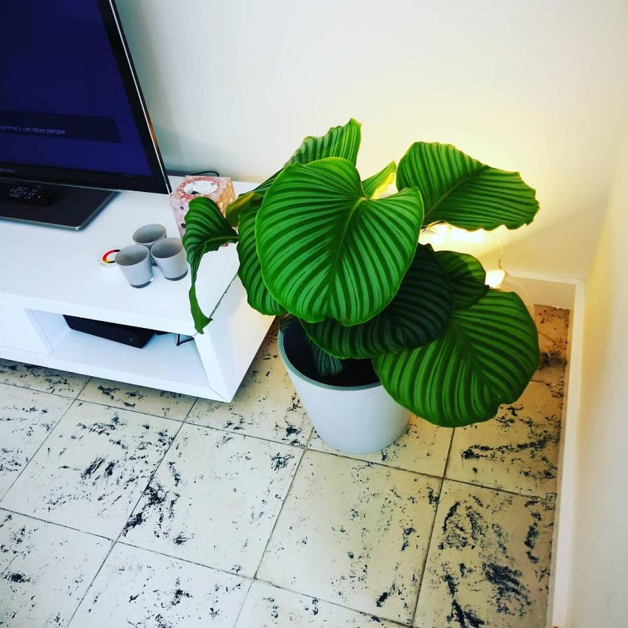 미들케르케 Fleuri Westende 아파트 외부 사진